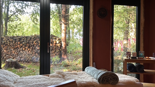 Behandelkamer met uitzicht op het bos