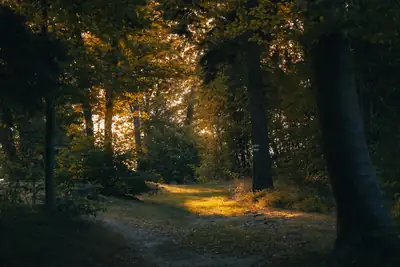 waarom praten niet genoeg