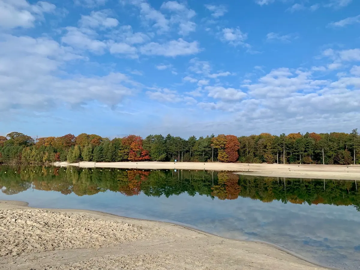 Een meer met herfstbomen in het Gasselterveld