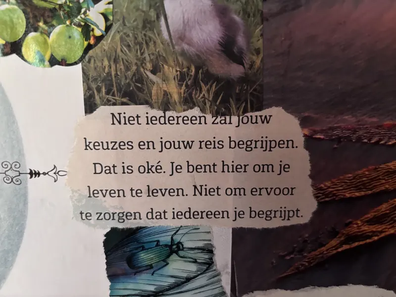 Niet iedereen zal jouw keuzes en jouw reis begrijpen. Dat is oké. Je bent hier om je leven te leven. Niet om ervoor te zorgen dat iedereen je begrijpt.
