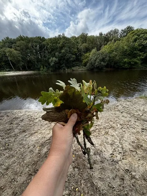 Een hand met eikenbladeren bij het water