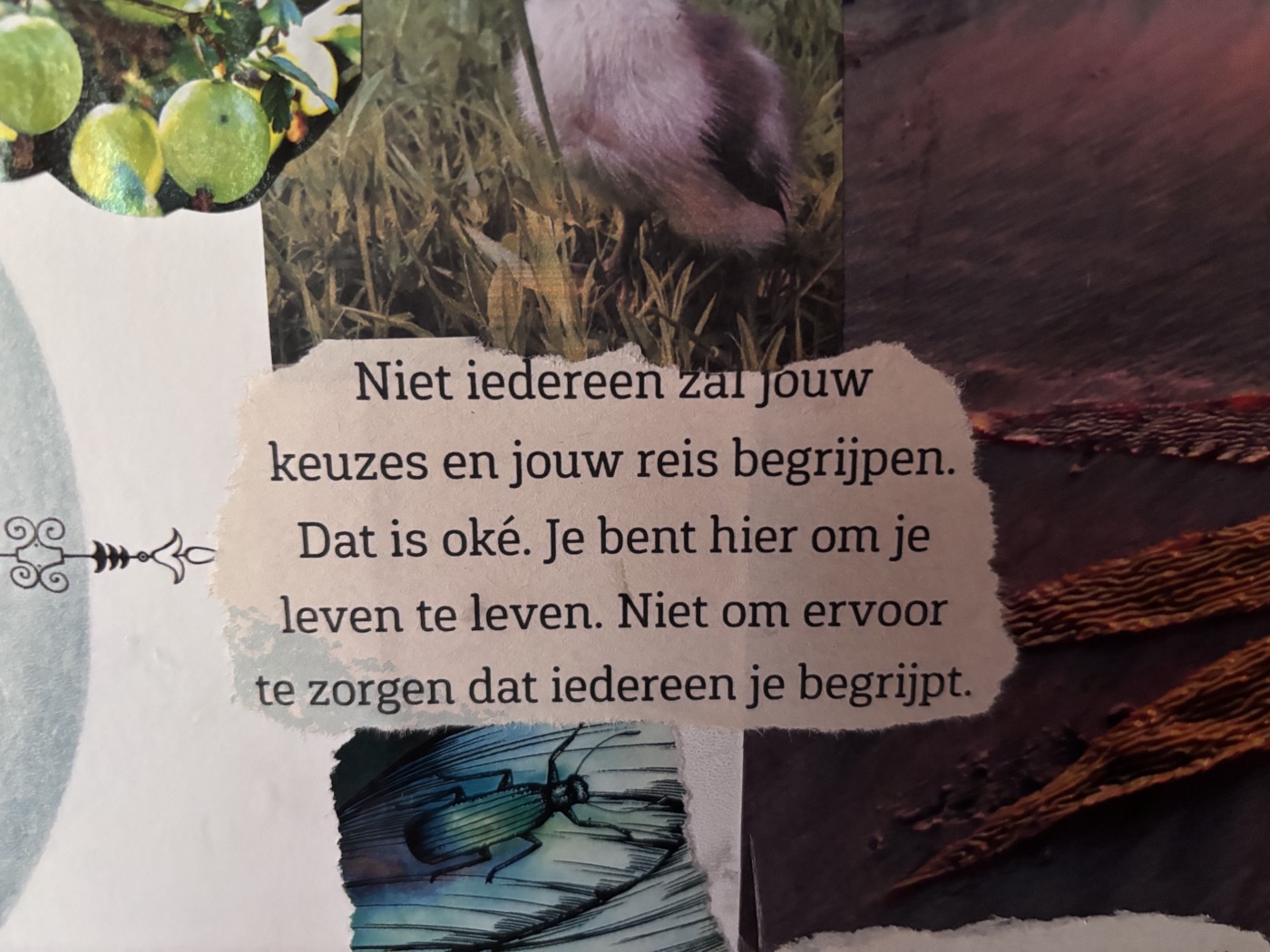 Niet iedereen zal jouw keuzes en jouw reis begrijpen. Dat is oké. Je bent hier om je leven te leven. Niet om ervoor te zorgen dat iedereen je begrijpt.